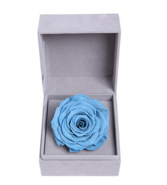 缘分天空--蓝色永生玫瑰:厄瓜多尔进口巨型玫瑰