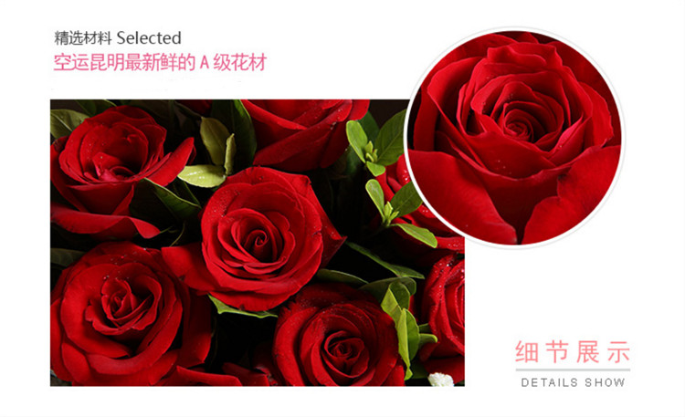 紅玫瑰素材2.jpg