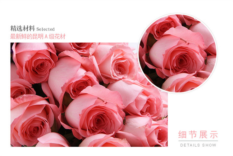 戴安娜粉玫瑰素材1.jpg