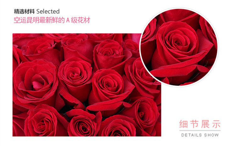 紅玫瑰素材1.jpg