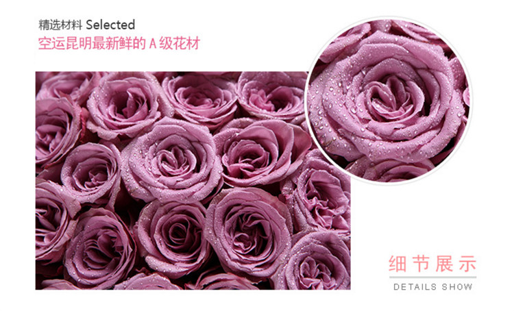 紫玫瑰素材1.jpg
